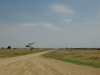 p8060113